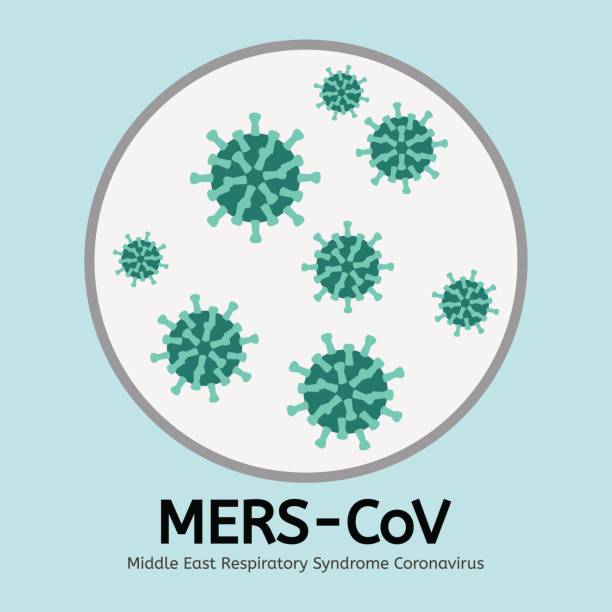 covid 19 coronavirus - coronavirus en china cnn